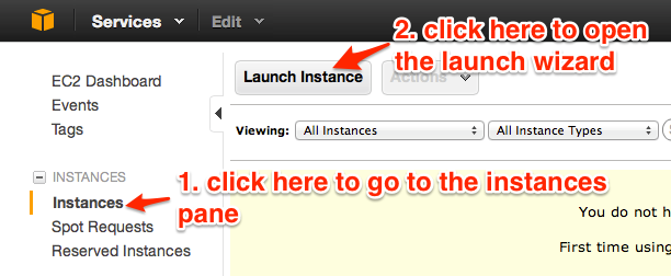 click the "Launch Instance" button