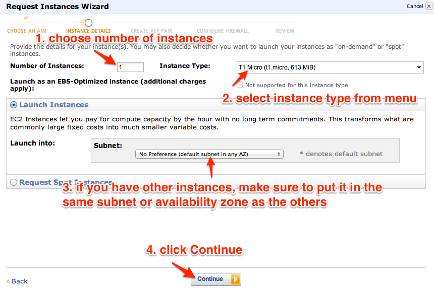 choose the number and type of instance