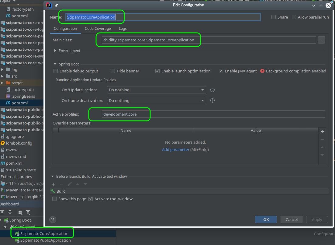 IntelliJ run configuration for SciPaMaTo-Core